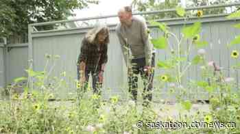 Saskatoon garden club focused on urban biodiversity hits 101 members