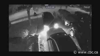 Brampton family fends off 3 masked men trying to steal car in driveway, police say