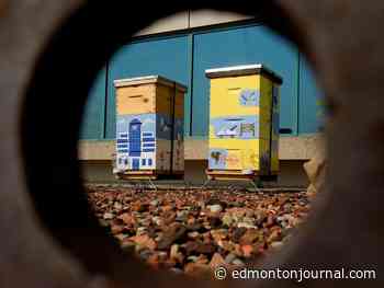 Edmonton weather: Rains turn to sunny weekend skies as wildfire evacuees take refuge