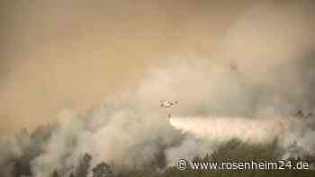 Waldbrand auf Teneriffa erfasste bereits 5000 Hektar Natur