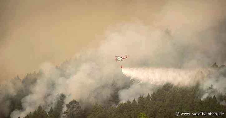 Waldbrand auf Teneriffa erfasste bereits 5000 Hektar Natur