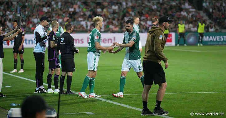 Die drei Debütanten