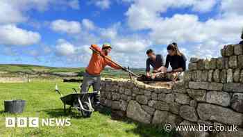 Bringing back endangered craft of Cornish hedging