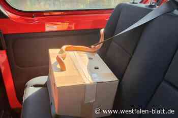 Passant entdeckt Kornnatter in Stemwede-Wehdem