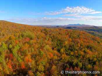 Doug Cuthand: Sask. government ignoring First Nations, treaty rights