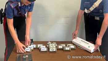 Blitz anti spaccio, sedici arresti a Roma. Il fiuto di Natan fa scoprire cocaina e hashish