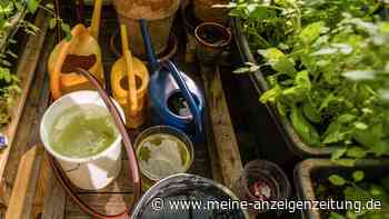 Drei wirksame Methoden, um Regenwasser im Garten aufzufangen