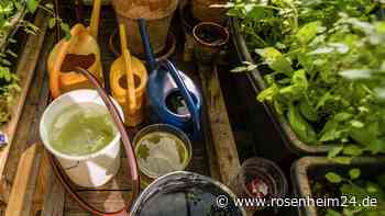 Drei wirksame Methoden, um Regenwasser im Garten aufzufangen