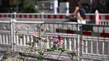 Weniger Parkplätze, mehr Grünflächen: Welchen Vorteil Verkehrsprojekte für Wohnviertel haben