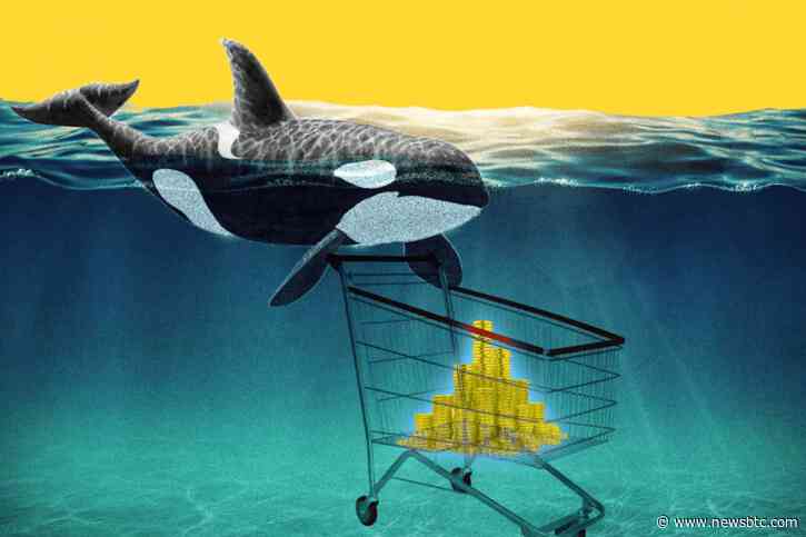 Shiba Inu Whale Transfers 4.6 Trillion Tokens After A 24-Hour Safekeeping