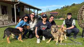 „Durch die Hunde dem toten Bruder nah“: Paar stirbt bei Waldbränden in Türkei