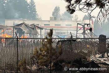 North Shuswap directer surveying damage in Scotch Creek after wildfire