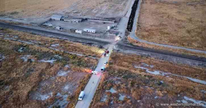 Woman and Dog Dead After Freak Accident: If You See This on the Ground Immediately Call 911