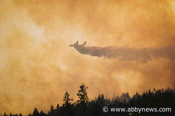 Aerial support back in the air battling Lake Country wildfire, evacuations remain in place