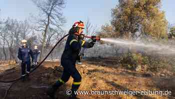 Waldbrände in Griechenland: "Haben eine harte Nacht vor uns"