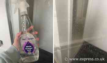 I used 99p white vinegar to remove hard water marks from my shower door - but did it work?