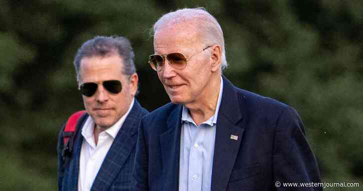 Banner Plane Taunted Hunter Biden as It Circled Joe's $4.8M 'Summer White House'