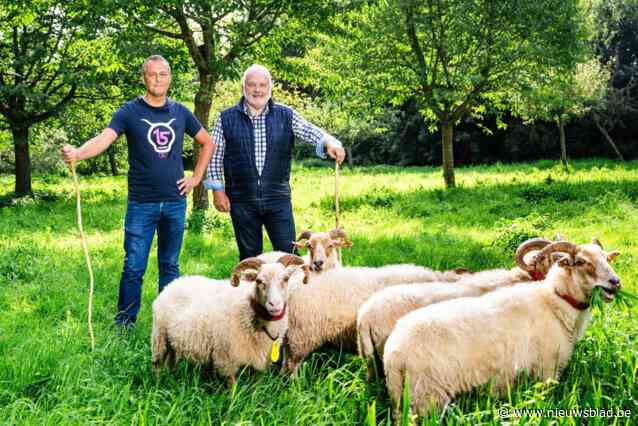 Jean-Marie Dedecker en Egbert Lachaert vinden elkaar tijdens het hoeden van schapen: “Laat ons een nieuwe partij oprichten”