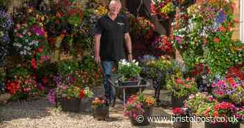 Bristol Grandad spends three hours every night tending to the 2,000 plants in his garden