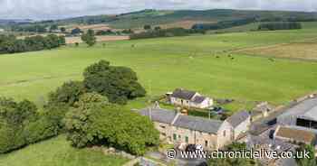 Northumberland livestock farm with nearly 1,800 acres of land on market for £7.5m
