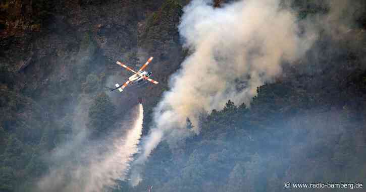 Waldbrand auf Teneriffa erfasst bereits 8400 Hektar