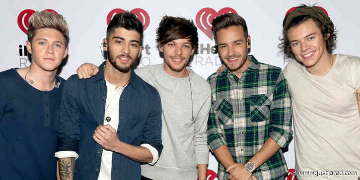 The Members of One Direction Ranked from Lowest to Highest by Net Worth (& the Ranking is Closer Than You'd Think!)