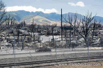 Kokua Line: Can I replace burned money?