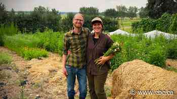 ‘We found our forever home.’ Why young Albertans are leaving the city to be farmers