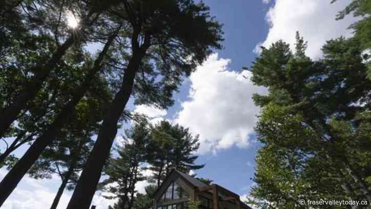 Planting roots: Quebec cemetery turns former golf course into forest for the deceased