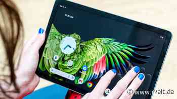 Teuer, aber hilfreich – Googles Steuerzentrale für den Haushalt