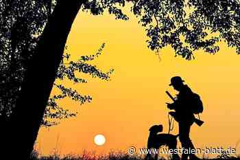 Jäger aus Rheda-Wiedenbrück trifft Jagdfreund in den Kopf