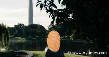 Try It Out: The National Mall Is Filled With Monuments. Now Six New Temporary Ones