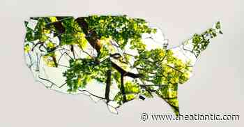 The Meaning Of America (As In – Why Have We Been Getting So Much Meaner?)