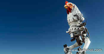 Stand-Up Comedians Vs. A.I.: Can The Bots Win?