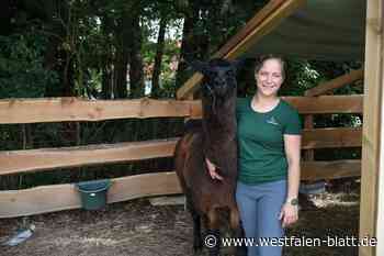 Alpaka-Abenteuer trotz Café-Pause