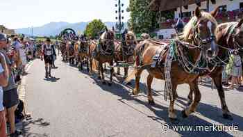Ein Traumtag für alle Rosserer