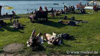 Mutiger Passant und DLRG Tegernsee retten Nichtschwimmer vor dem Ertrinken