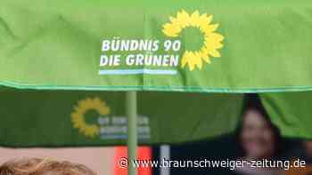 Schuldenbremse umgehen: Grünen-Chefin fordert mehr Ausgaben