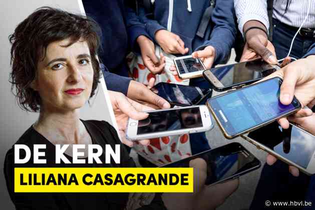 “Hoe meer fake news, hoe meer haat, hoe meer clicks, hoe liever”