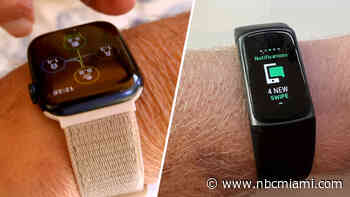 Bacteria bonanza: FAU study shows just how filthy wristbands are, offers cleaning tips