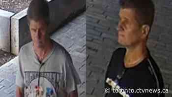 Man wanted for allegedly dropping softball-sized rocks on vehicles off Toronto bridge