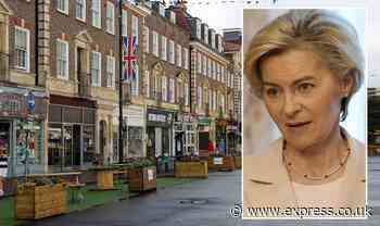 British businesses back Brexit as they warn rejoining EU would be 'madness' and a 'joke'