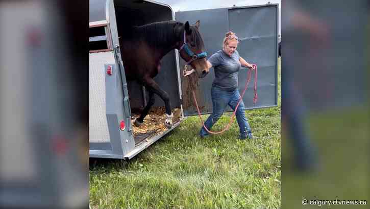 Support continues for NWT evacuees across Alberta