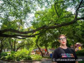 Petition against splash pad at Dundonald Park goes to council this week