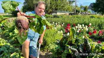 Auf Blumenfeldern von Landwirt Aloysius Tacke wächst jetzt auch Gemüse