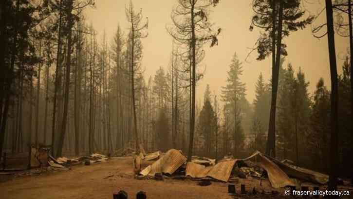 A look at the number of wildfires and evacuations in B.C.