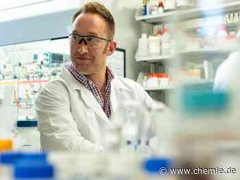 Goldbuckyballs und häufig verwendete Nanopartikel-"Samen" sind ein und dasselbe