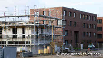 Immobilien: Ifo-Umfrage zeigt Absturz im Wohnungsbau – „Braut sich ein Sturm zusammen“