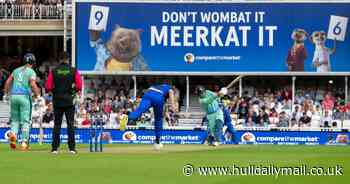 The UK's biggest cricket fans live in London and West Midlands, research finds