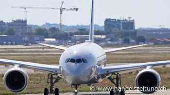 Würden Sie gerne an einer Flugkreuzfahrt teilnehmen?